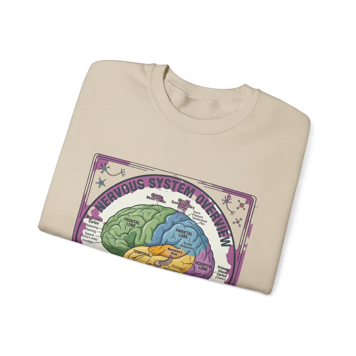 250th Anniversary Patriotic Brain Diagram Sweatshirt | 4th of July Centennial Trend