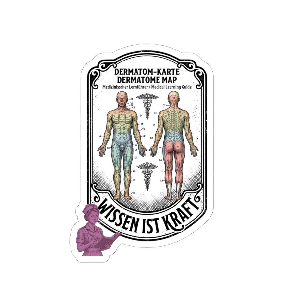 Dermatome Map Sticker | People Over Profit, Values-Led Statement