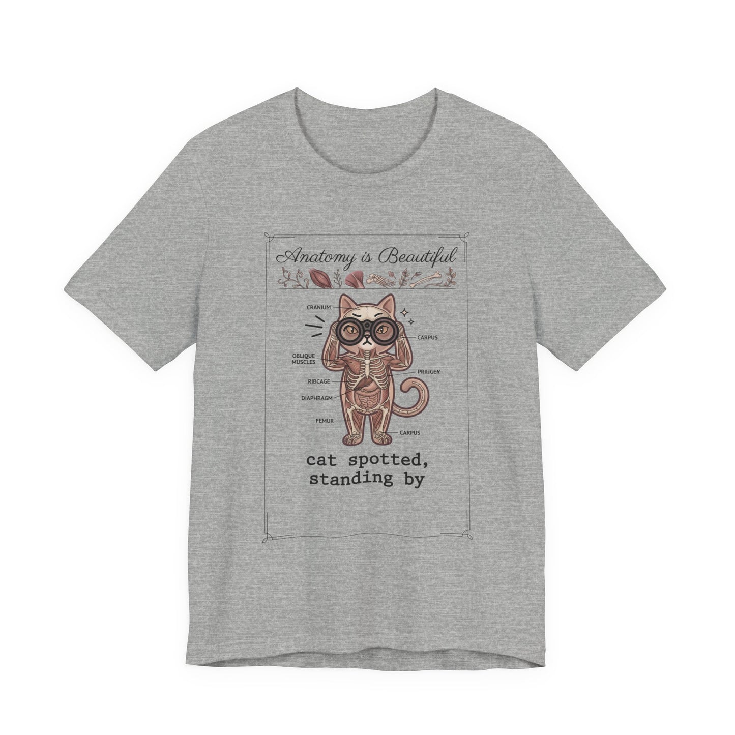 Anatomy Is Beautiful Cat Diagram Tee | Cat-Centric Novelty, Doodle Illustration