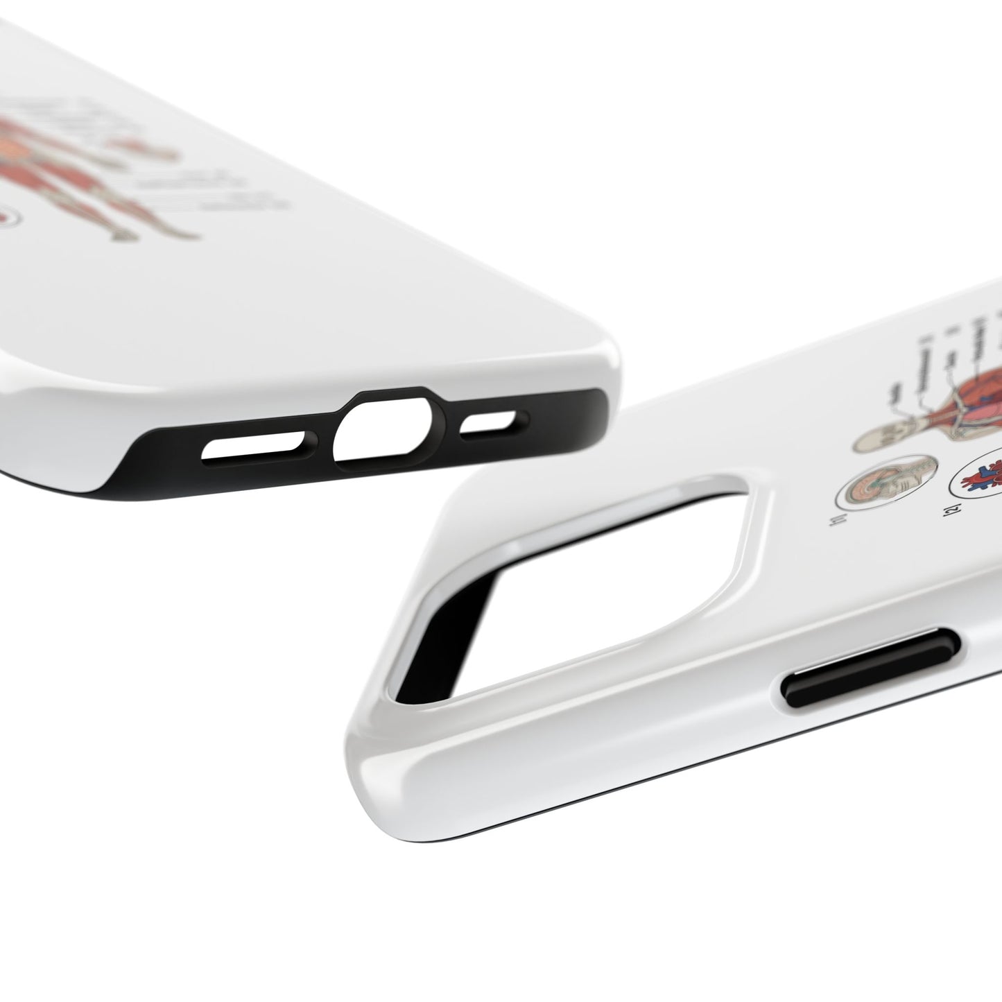 Anatomy Study Phone Case — Human Anatomy Diagram for Medical Students