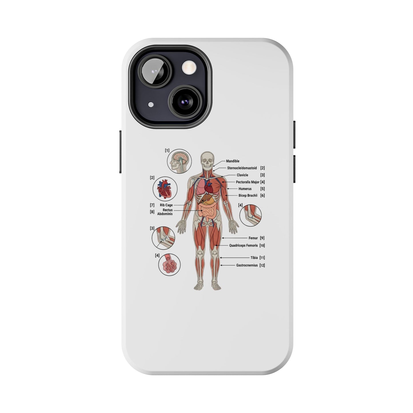 Anatomy Study Phone Case — Human Anatomy Diagram for Medical Students