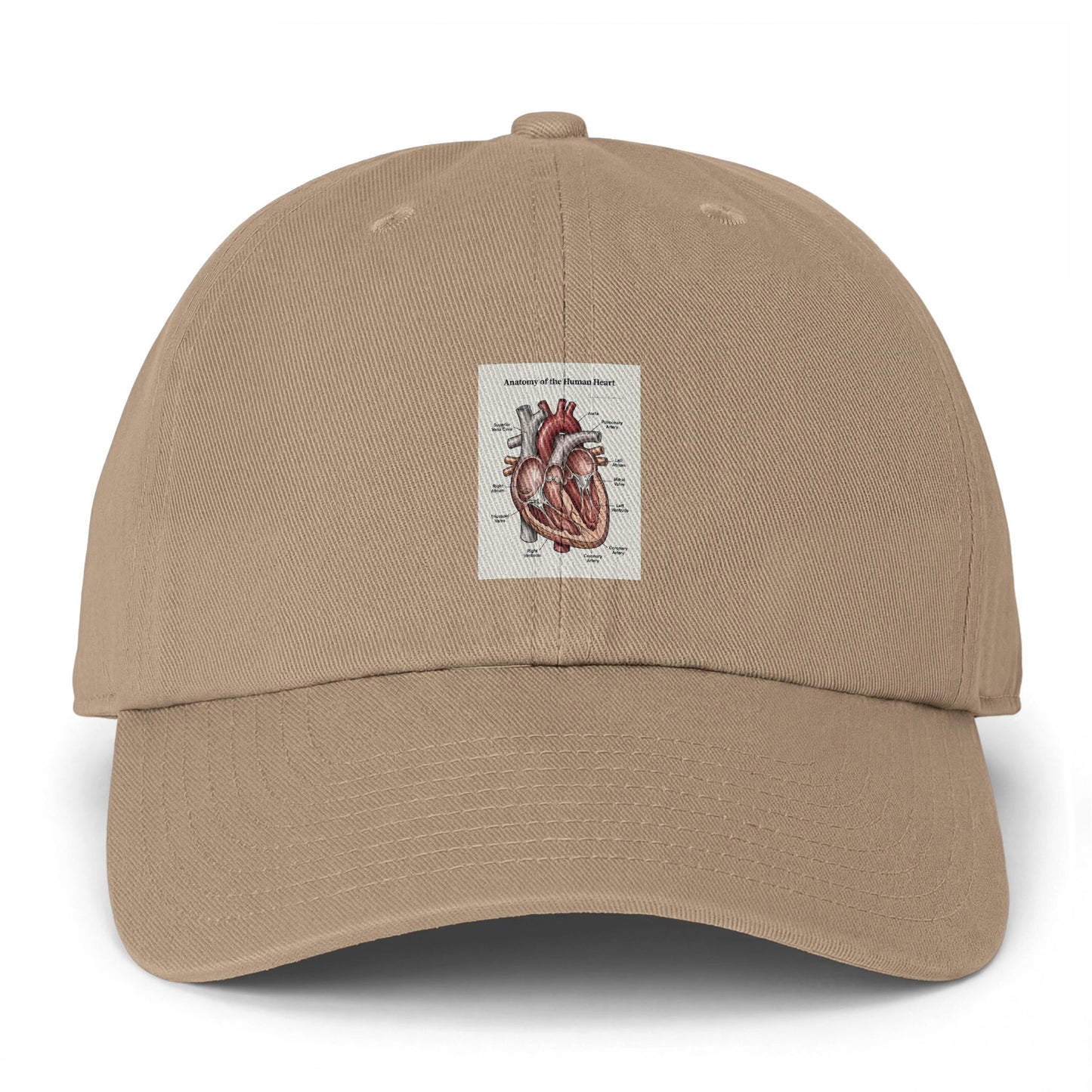 Anatomical Heart Embroidered Cap — Vintage Medical Illustration Dad Hat