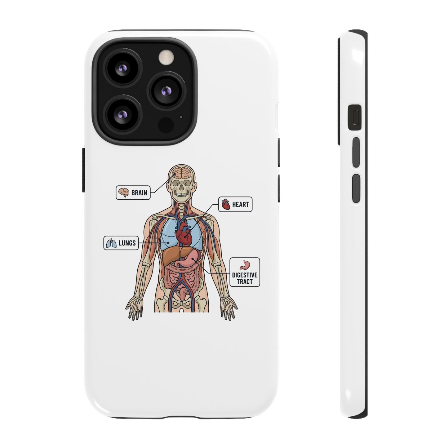 Anatomy Case — Medical Student Human Anatomy Study Aid