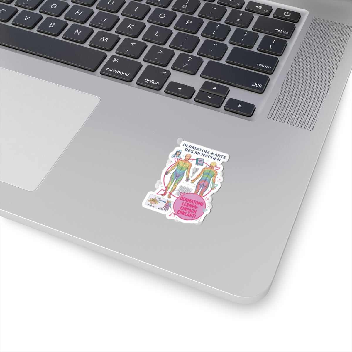 Dermatomes Anatomy Sticker | Kiss-Cut, Medical Chart, Learning Decal