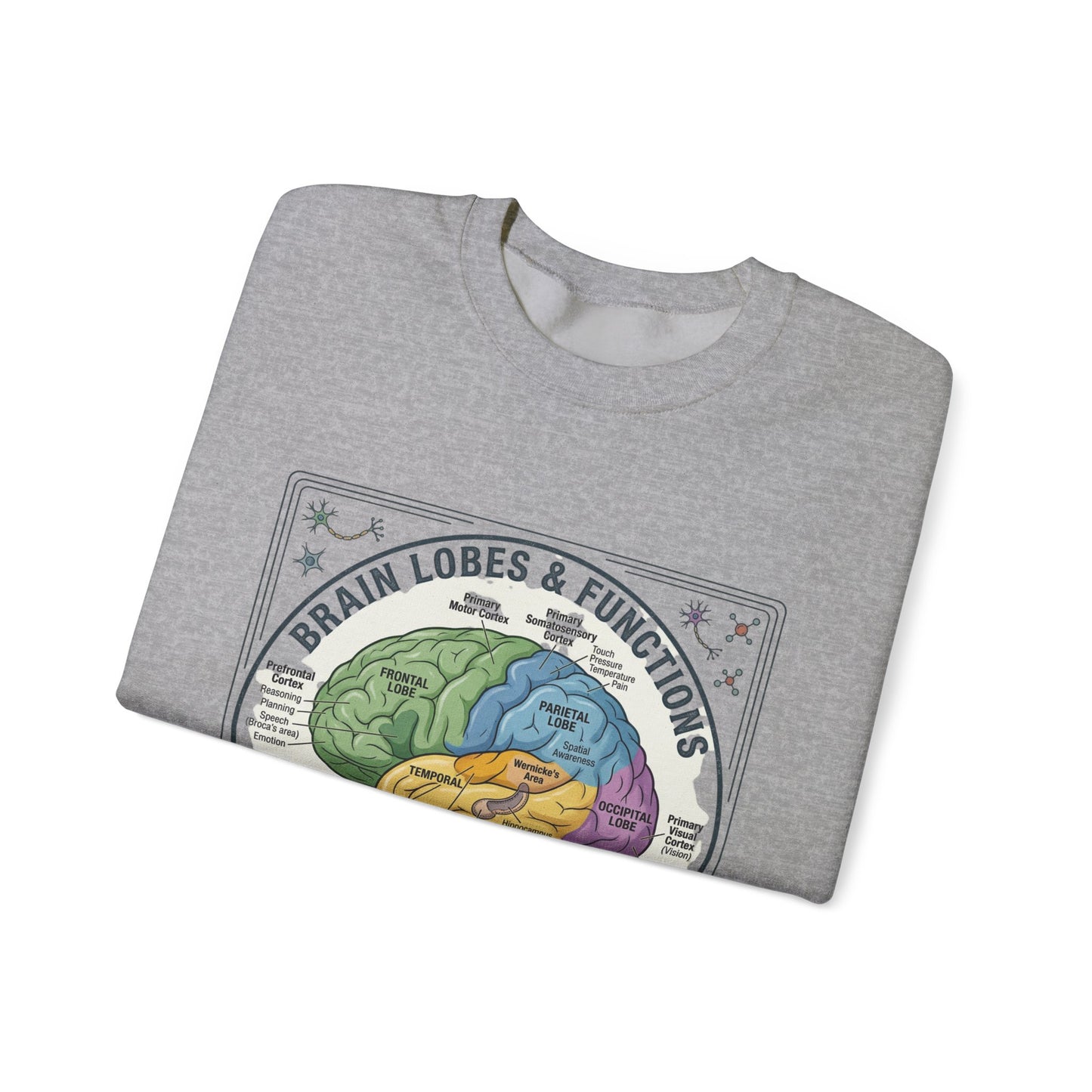 Brain Lobes Diagram Sweatshirt | 250th 4th of July Patriotic Milestone