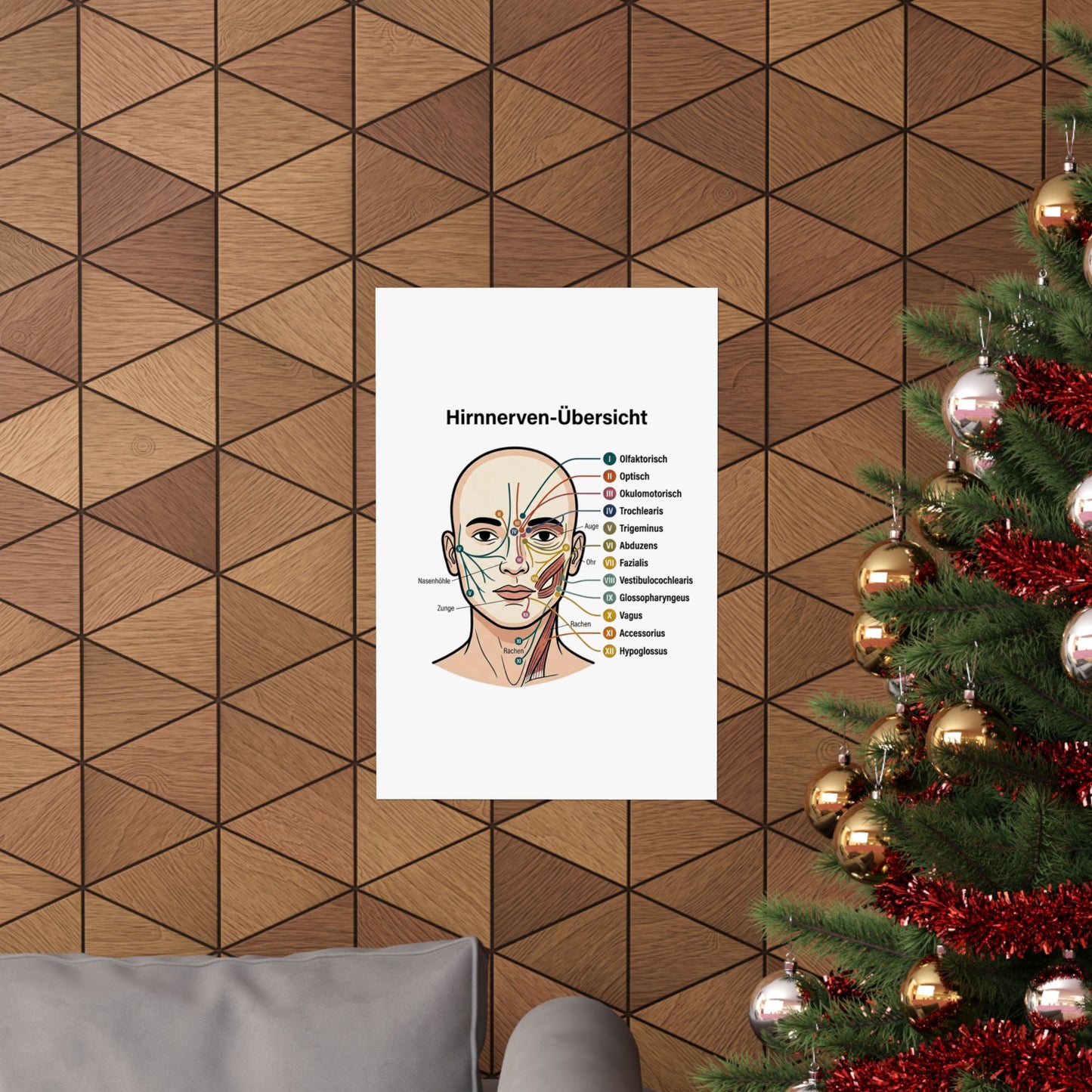 Anatomy Poster — Hirnnerven-Übersicht Matte Vertical Poster