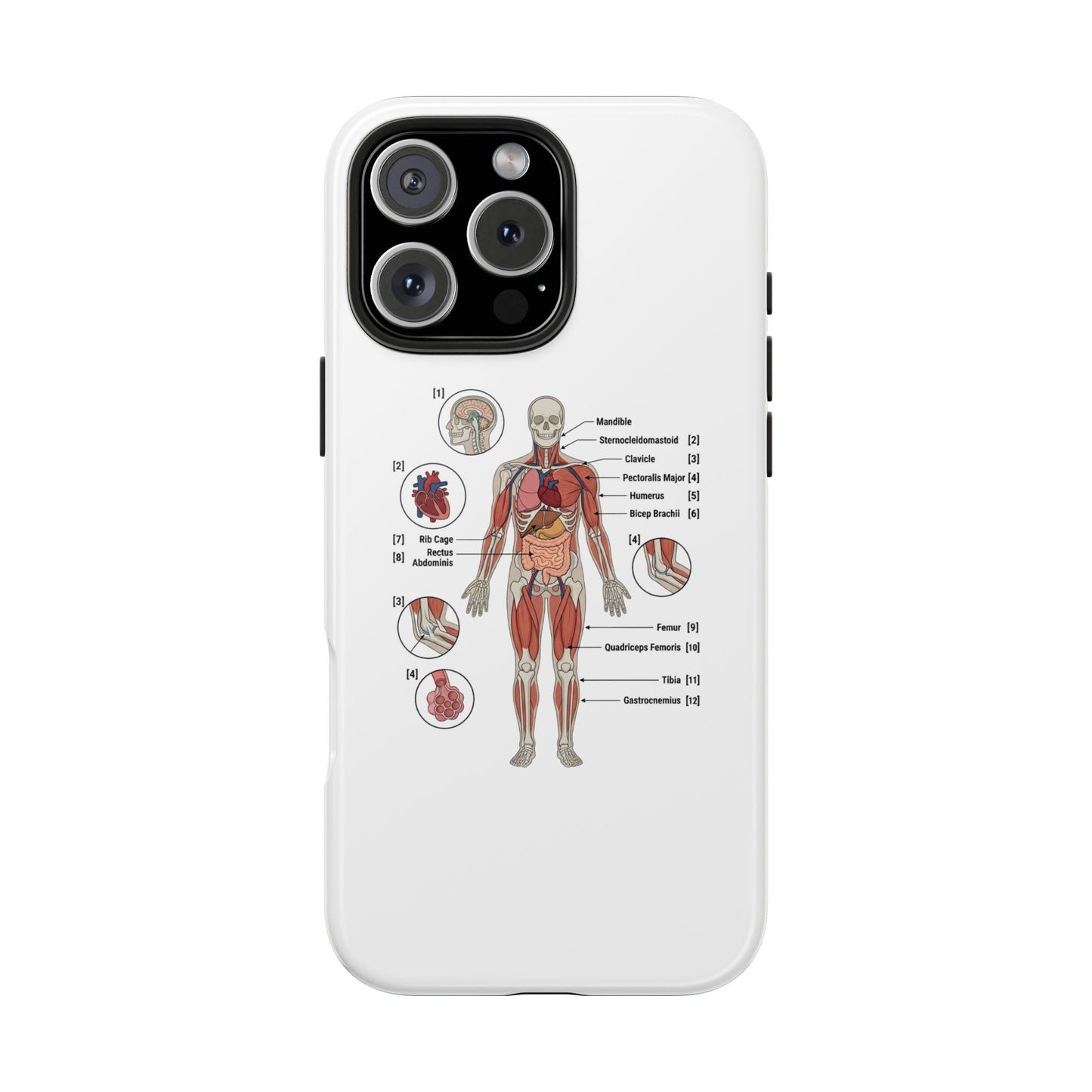 Anatomy Study Phone Case — Human Anatomy Diagram for Medical Students