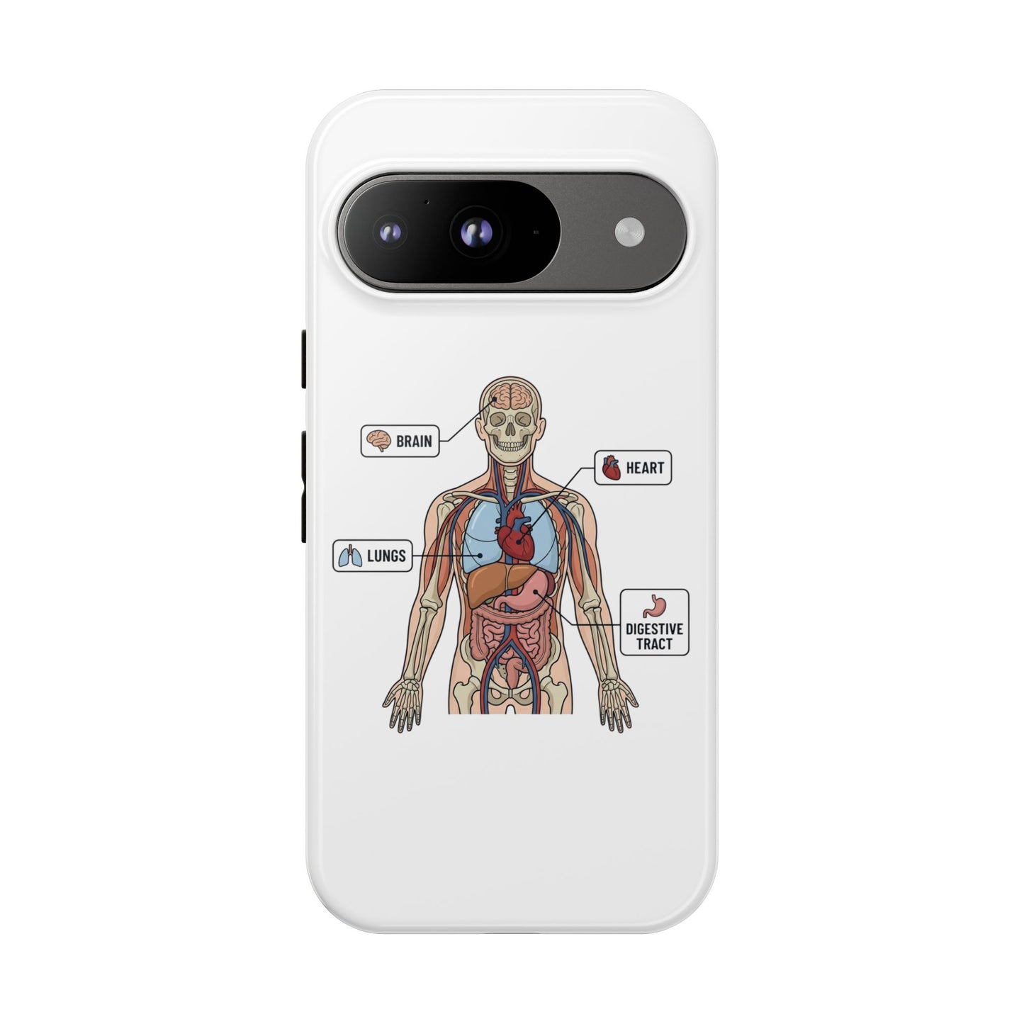 Anatomy Case — Medical Student Human Anatomy Study Aid