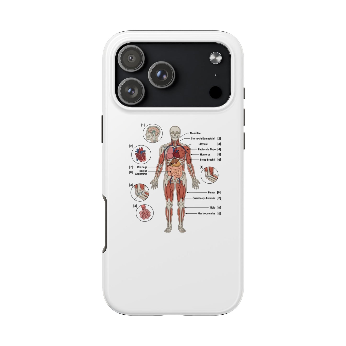 Anatomy Study Phone Case — Human Anatomy Diagram for Medical Students