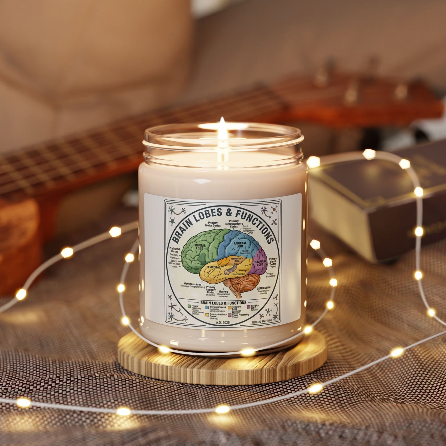 Brain Lobes Diagram Candle, 9oz Soy | 250th Anniversary Patriotic Keepsake