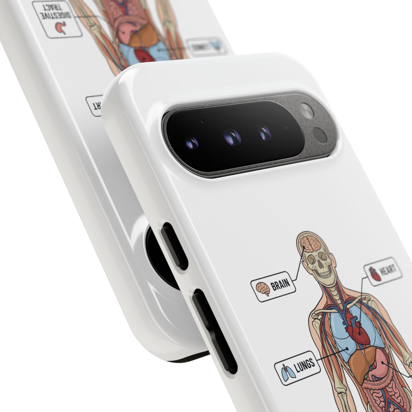 Anatomy Case — Medical Student Human Anatomy Study Aid