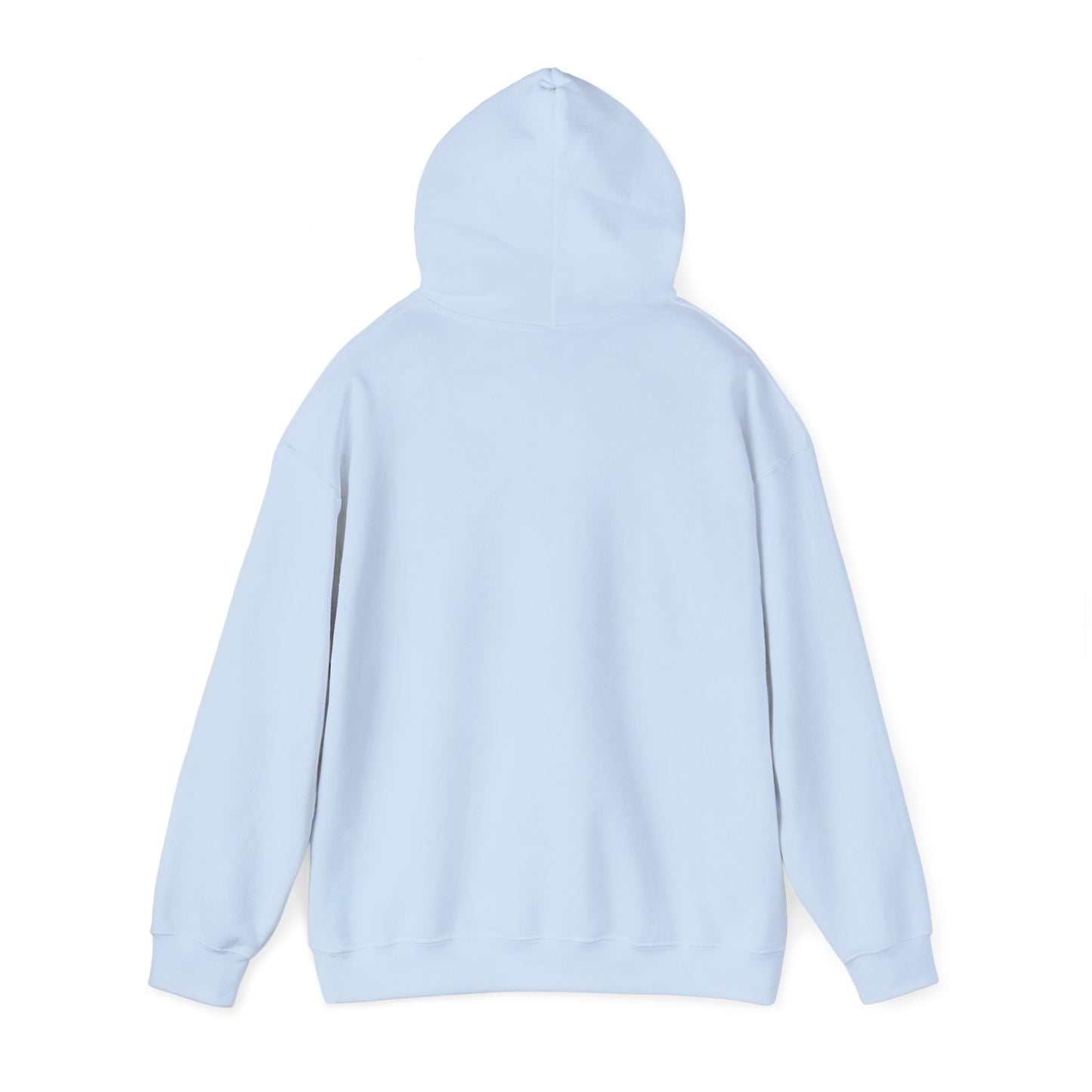 Protect Your Energy Hoodie — Motivational 'Protect Your Energy.' Sweatshirt