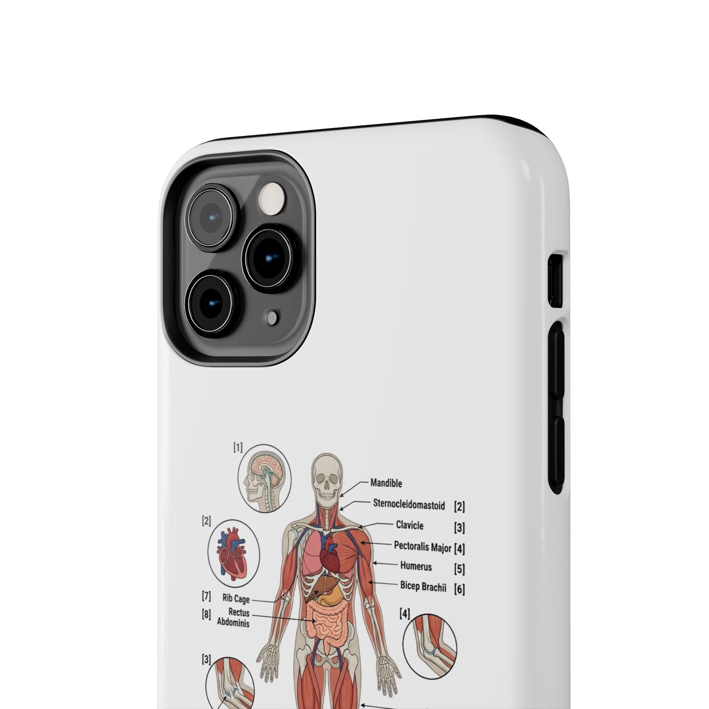 Anatomy Study Phone Case — Human Anatomy Diagram for Medical Students