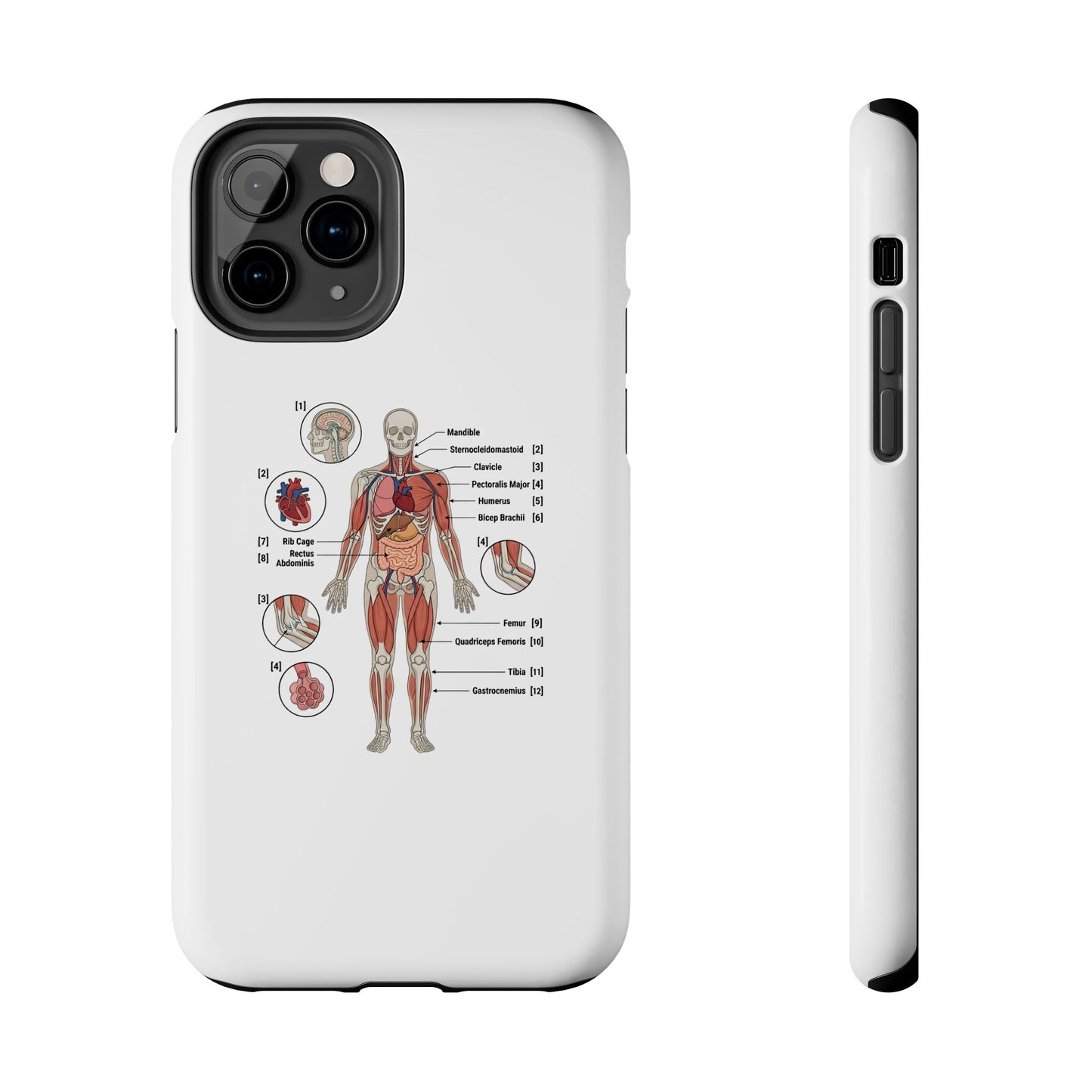 Anatomy Study Phone Case — Human Anatomy Diagram for Medical Students