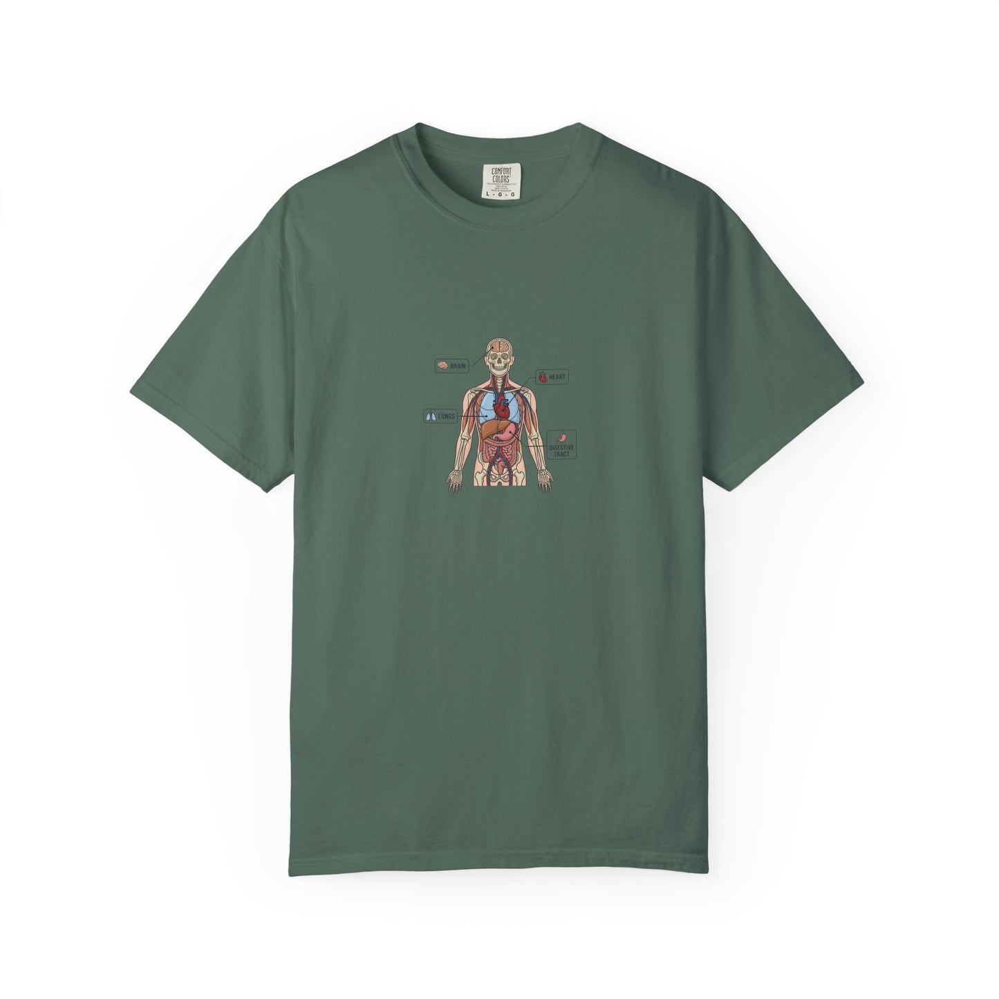 Human Anatomy Diagram T-Shirt — Medical Student Anatomy Tee