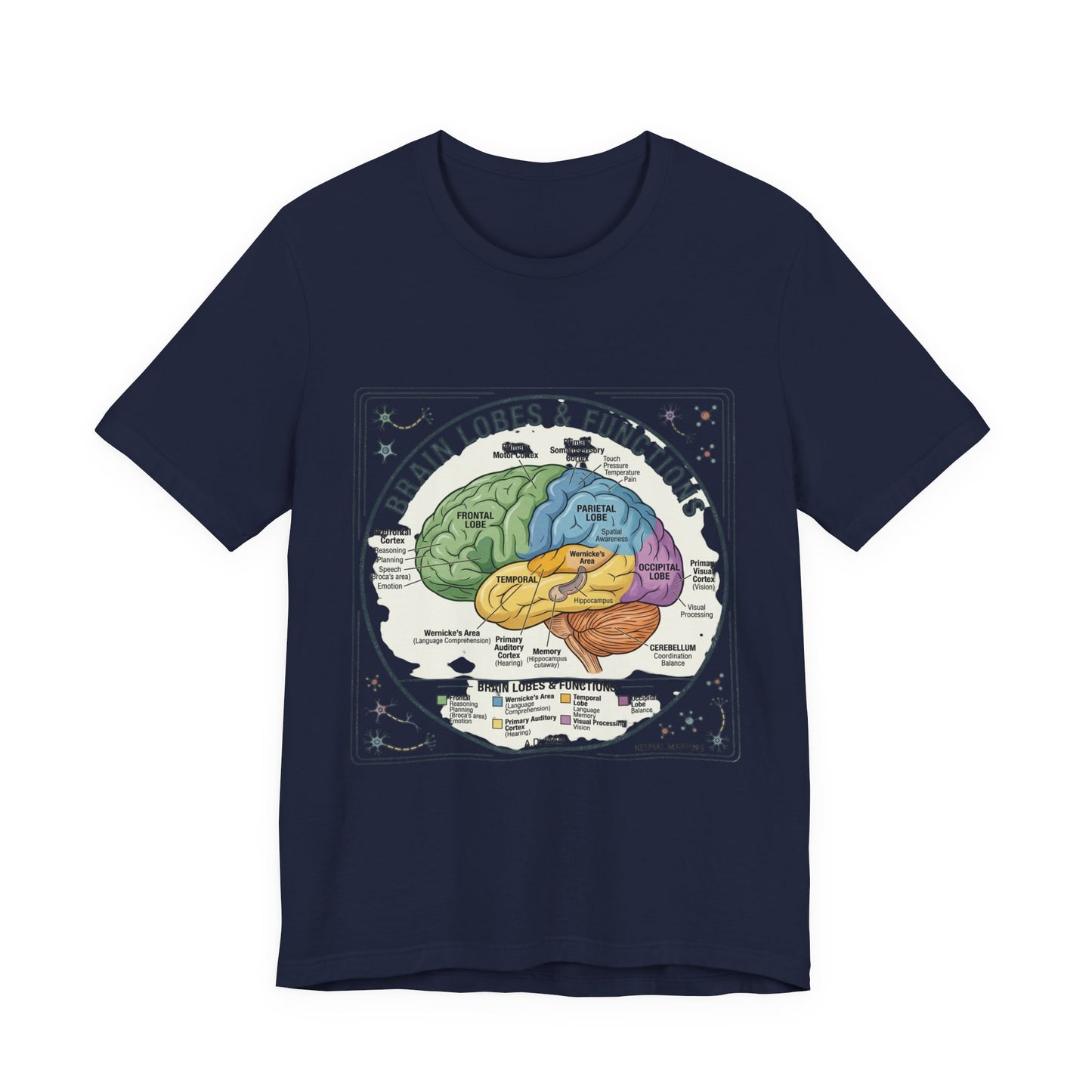 Brain Lobes & Functions T-Shirt | 250th Fourth of July, Patriotic Milestone