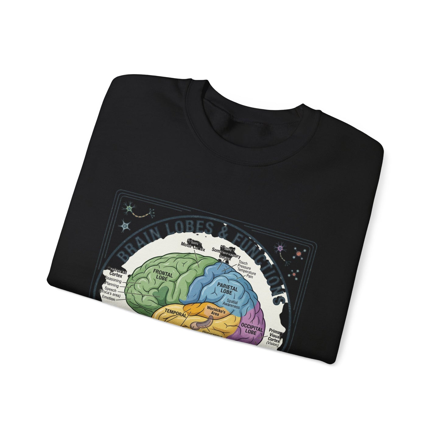 Brain Lobes Diagram Sweatshirt | 250th 4th of July Patriotic Milestone