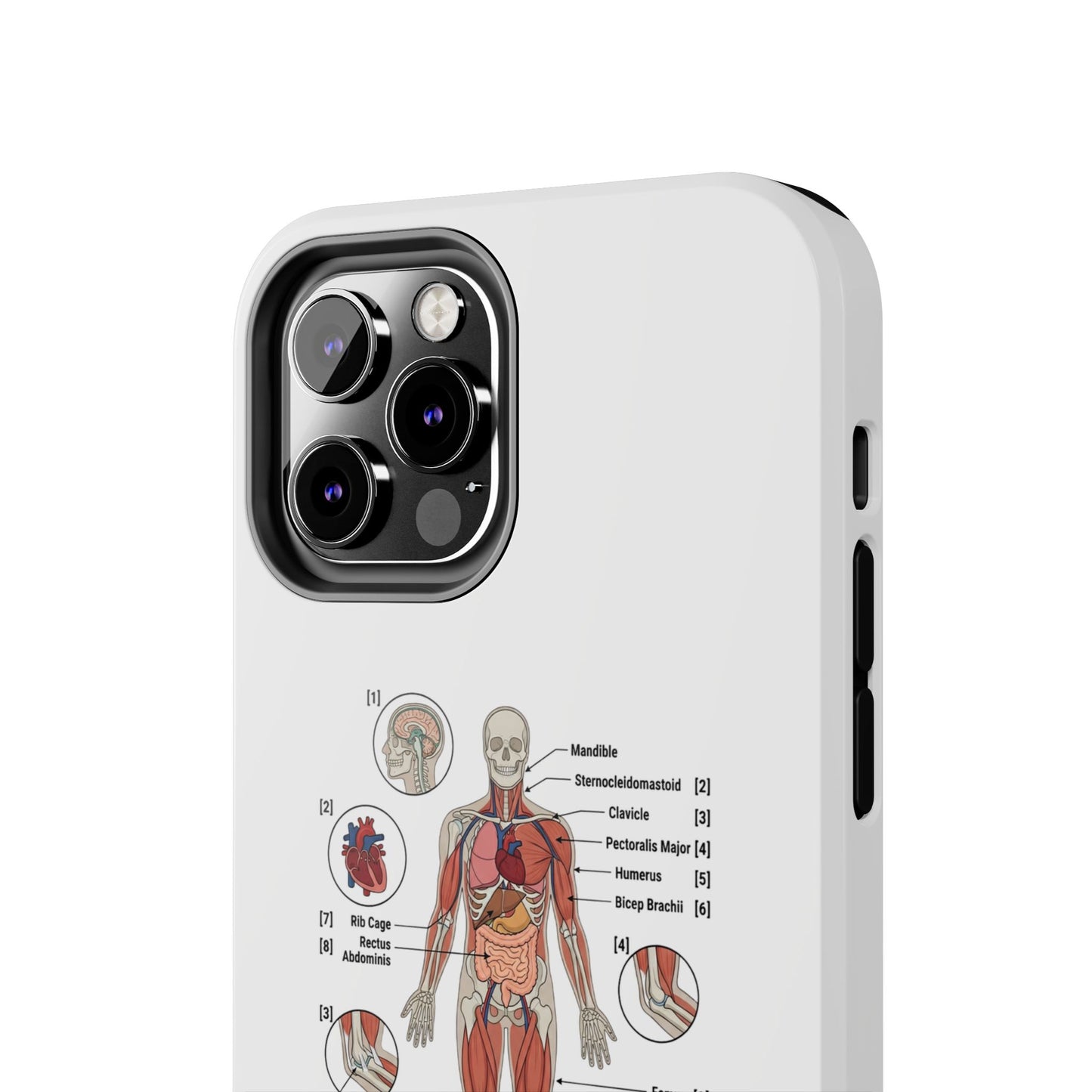 Anatomy Study Phone Case — Human Anatomy Diagram for Medical Students