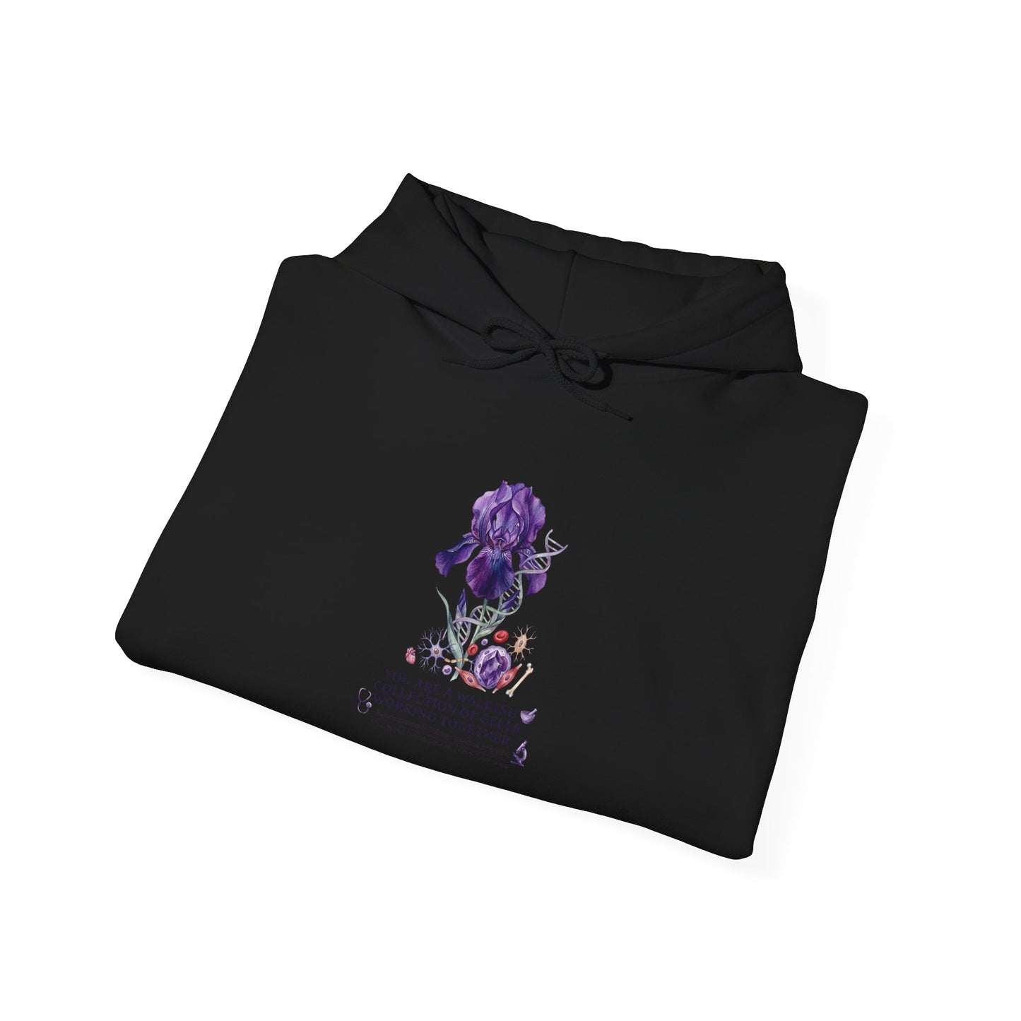 Iris Birth Flower Hoodie | Botanical Birth Month, Meaning & Floral Illustration