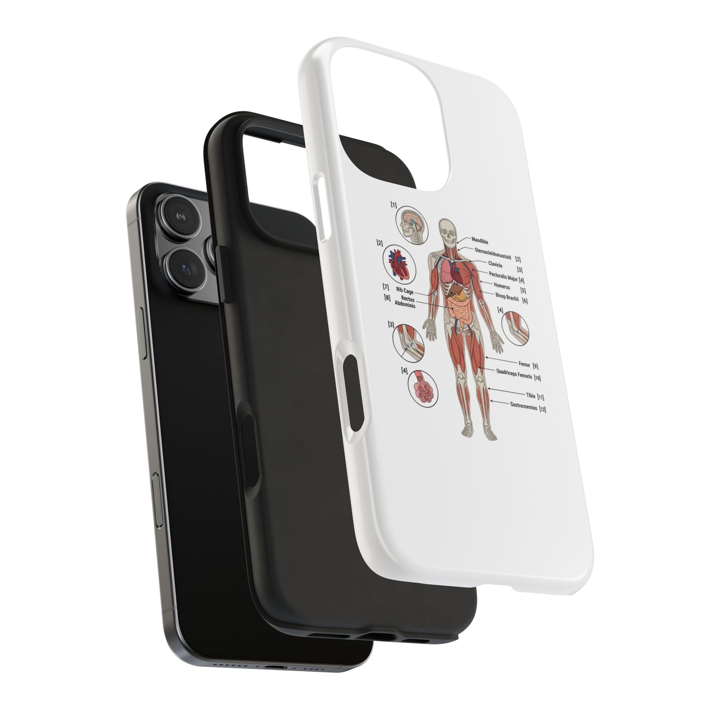 Anatomy Study Phone Case — Human Anatomy Diagram for Medical Students