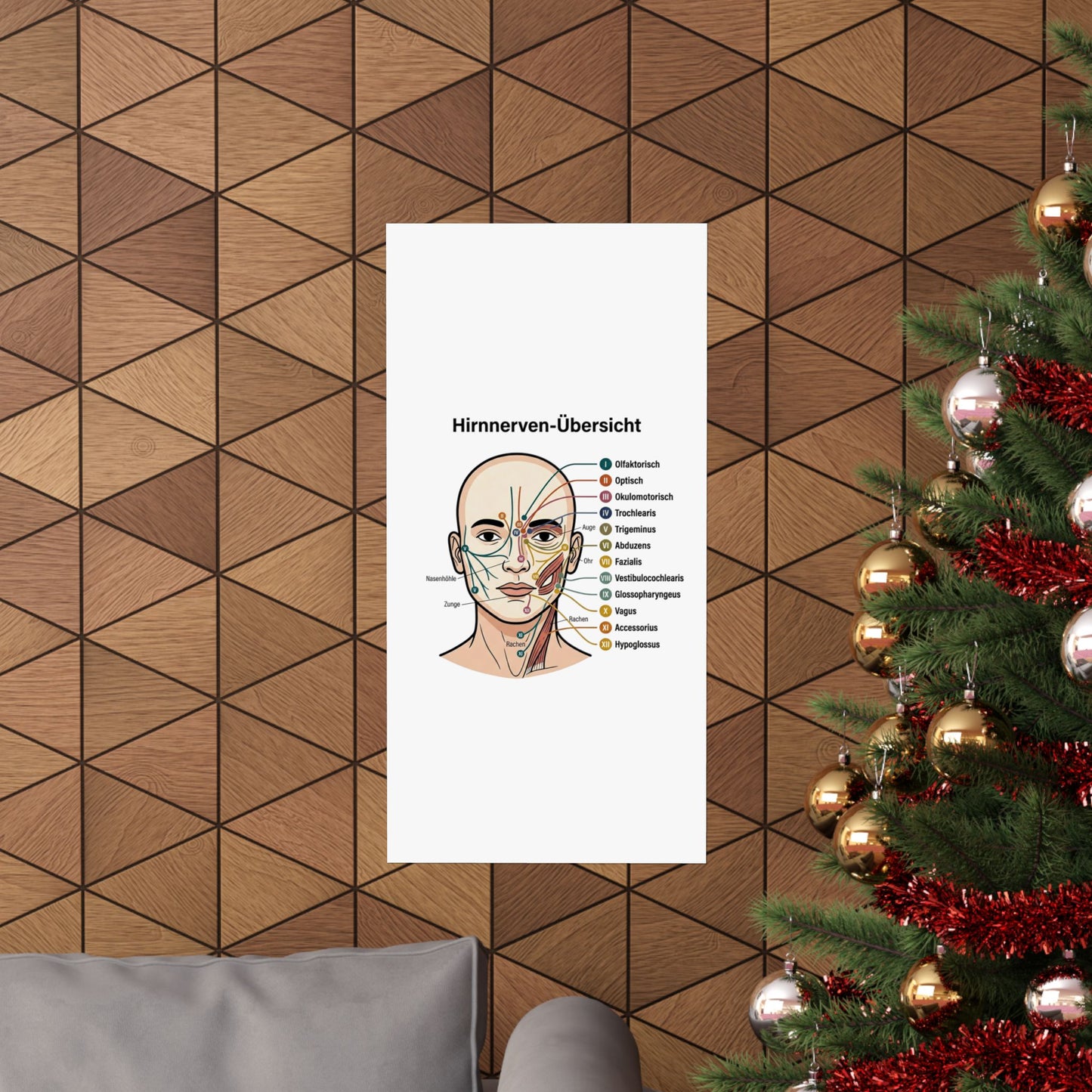 Anatomy Poster — Hirnnerven-Übersicht Matte Vertical Poster