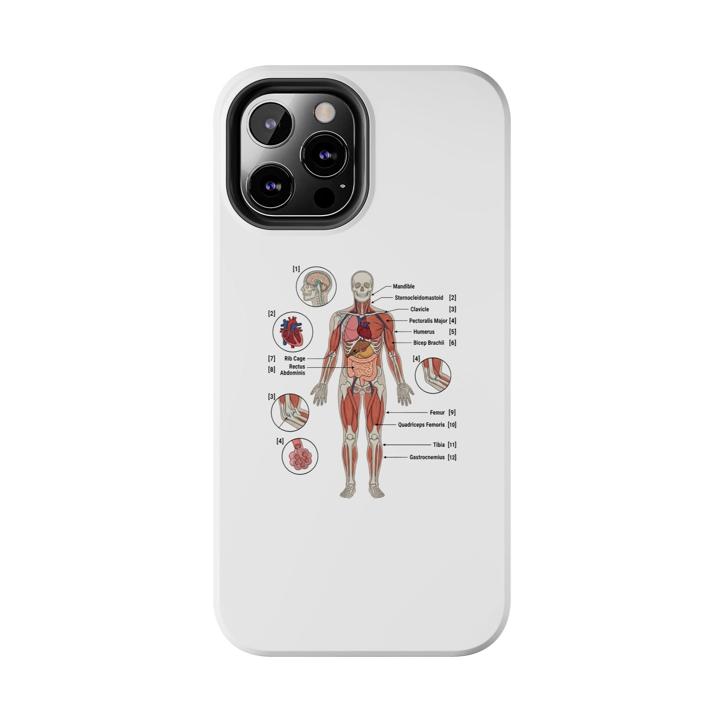 Anatomy Study Phone Case — Human Anatomy Diagram for Medical Students