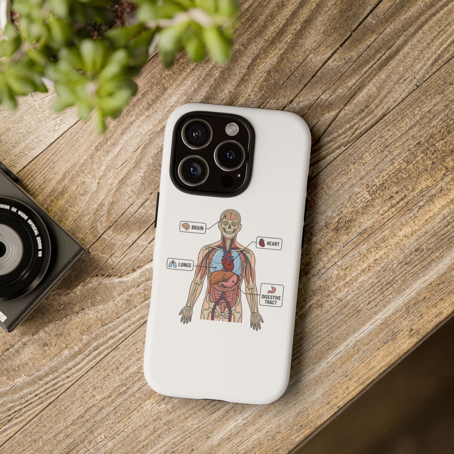 Anatomy Case — Medical Student Human Anatomy Study Aid