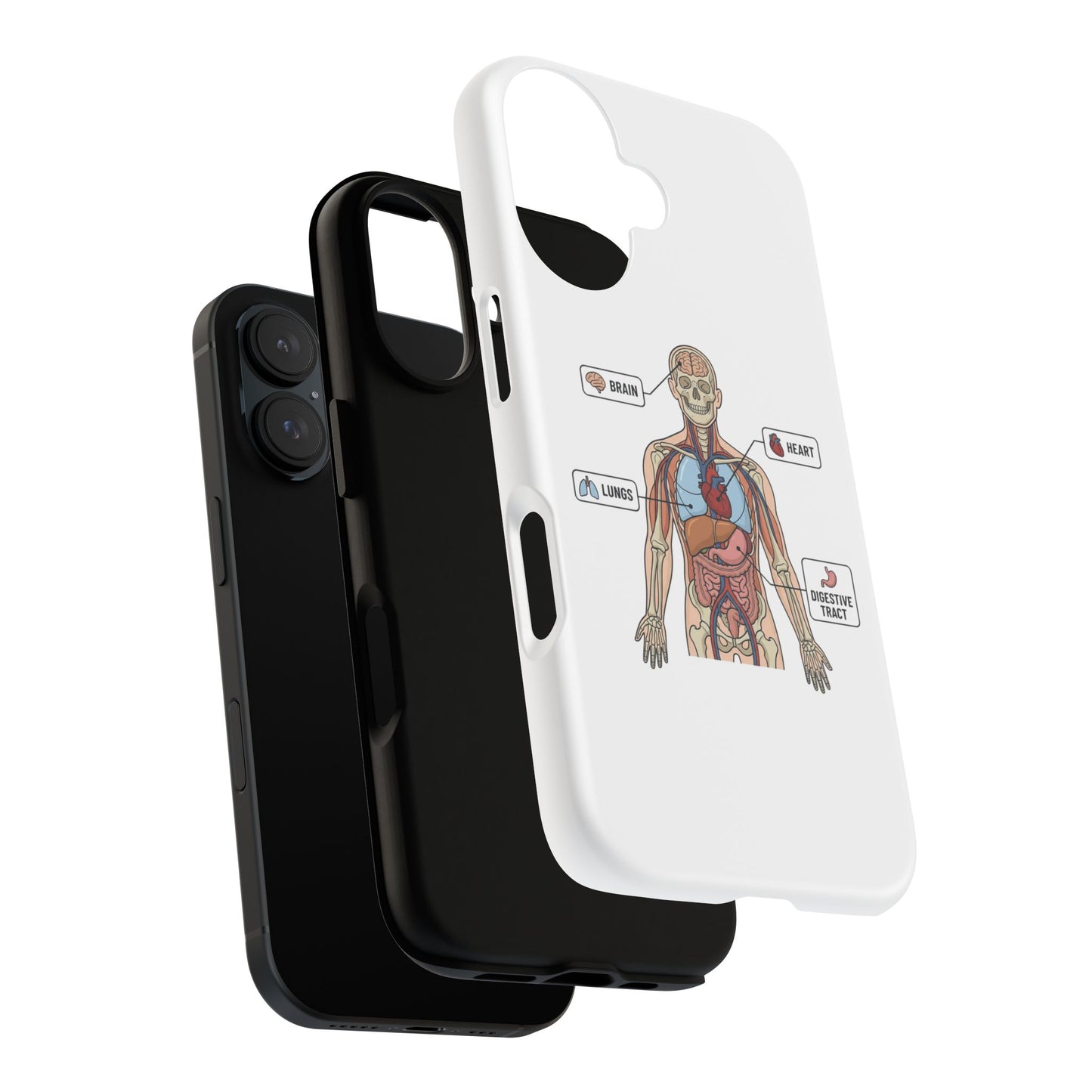 Anatomy Case — Medical Student Human Anatomy Study Aid