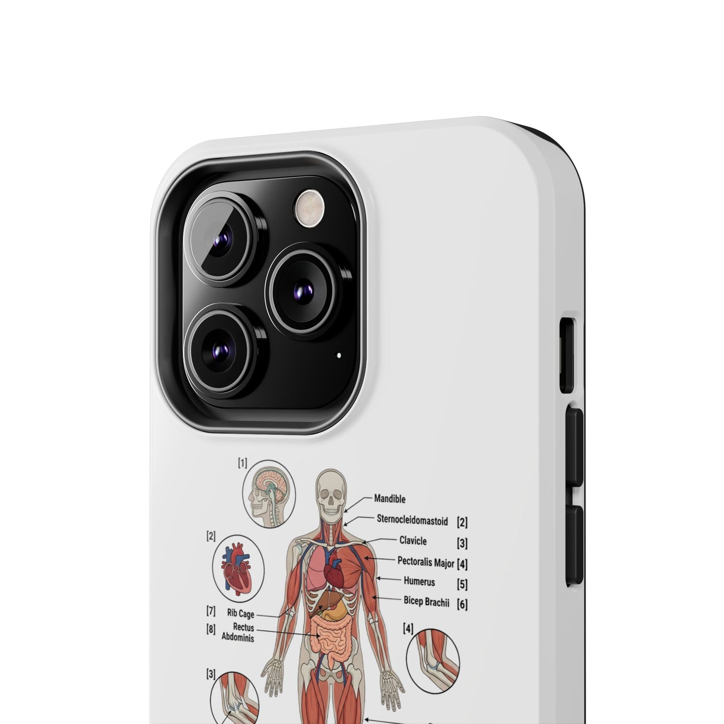Anatomy Study Phone Case — Human Anatomy Diagram for Medical Students