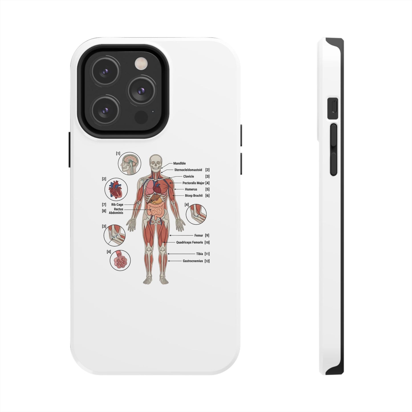 Anatomy Study Phone Case — Human Anatomy Diagram for Medical Students