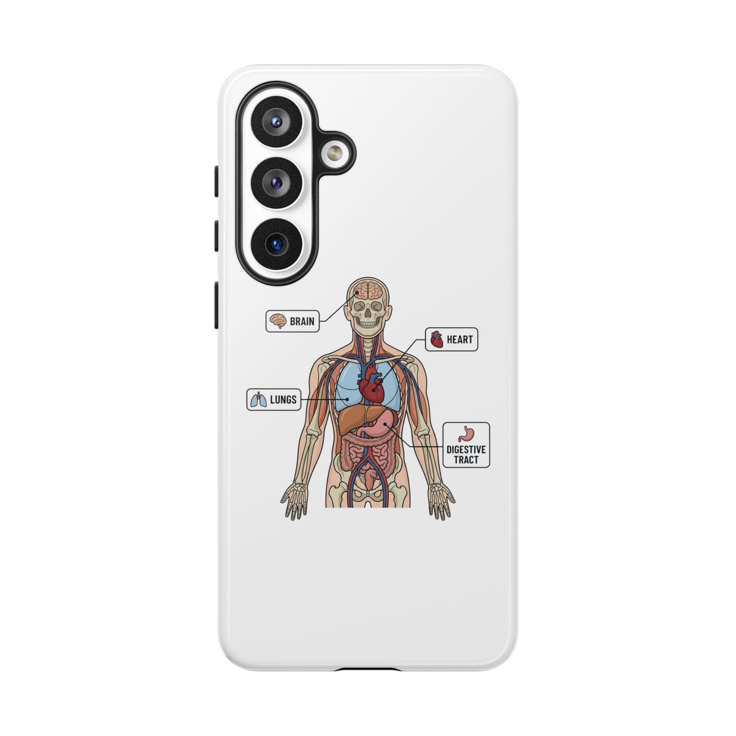 Anatomy Case — Medical Student Human Anatomy Study Aid