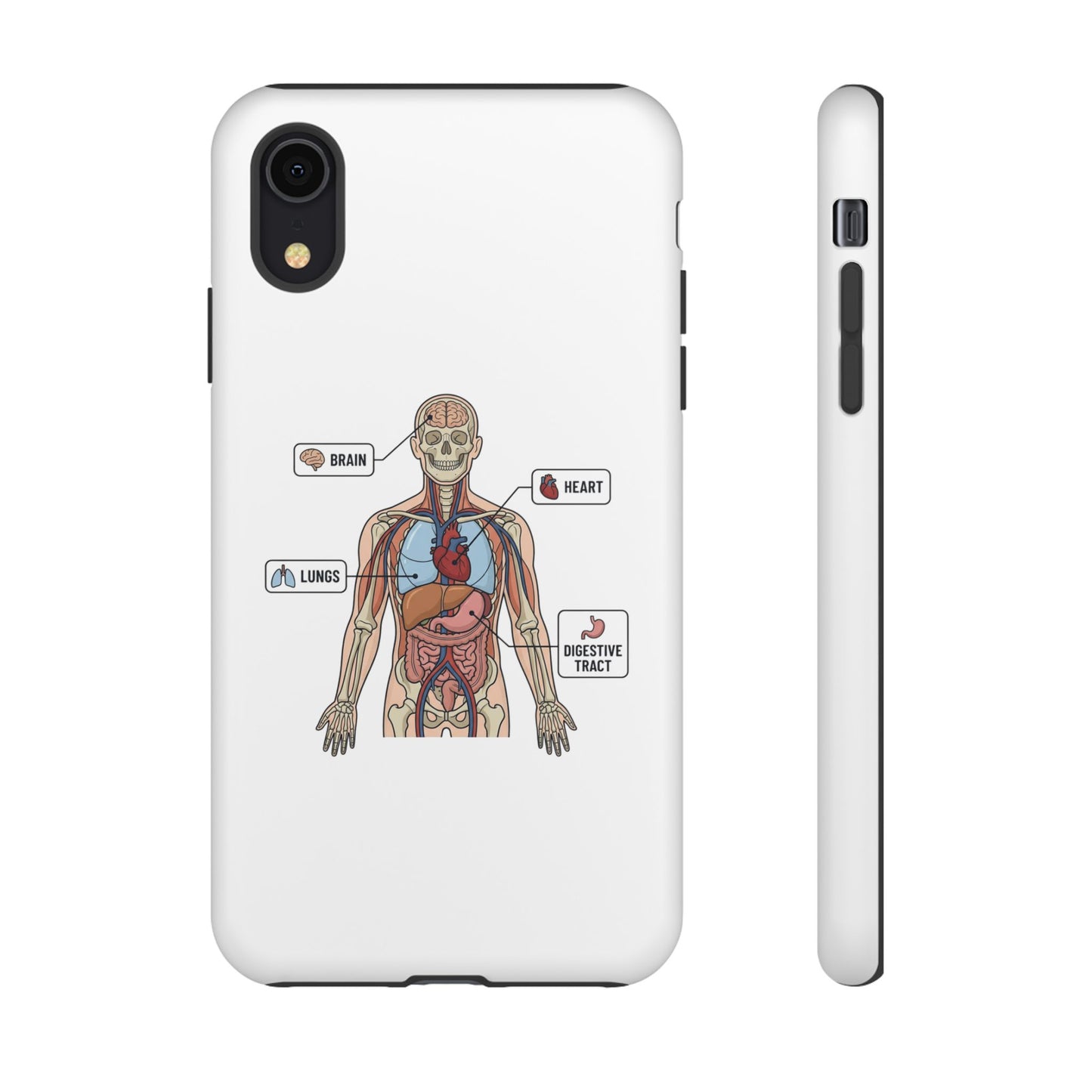 Anatomy Case — Medical Student Human Anatomy Study Aid