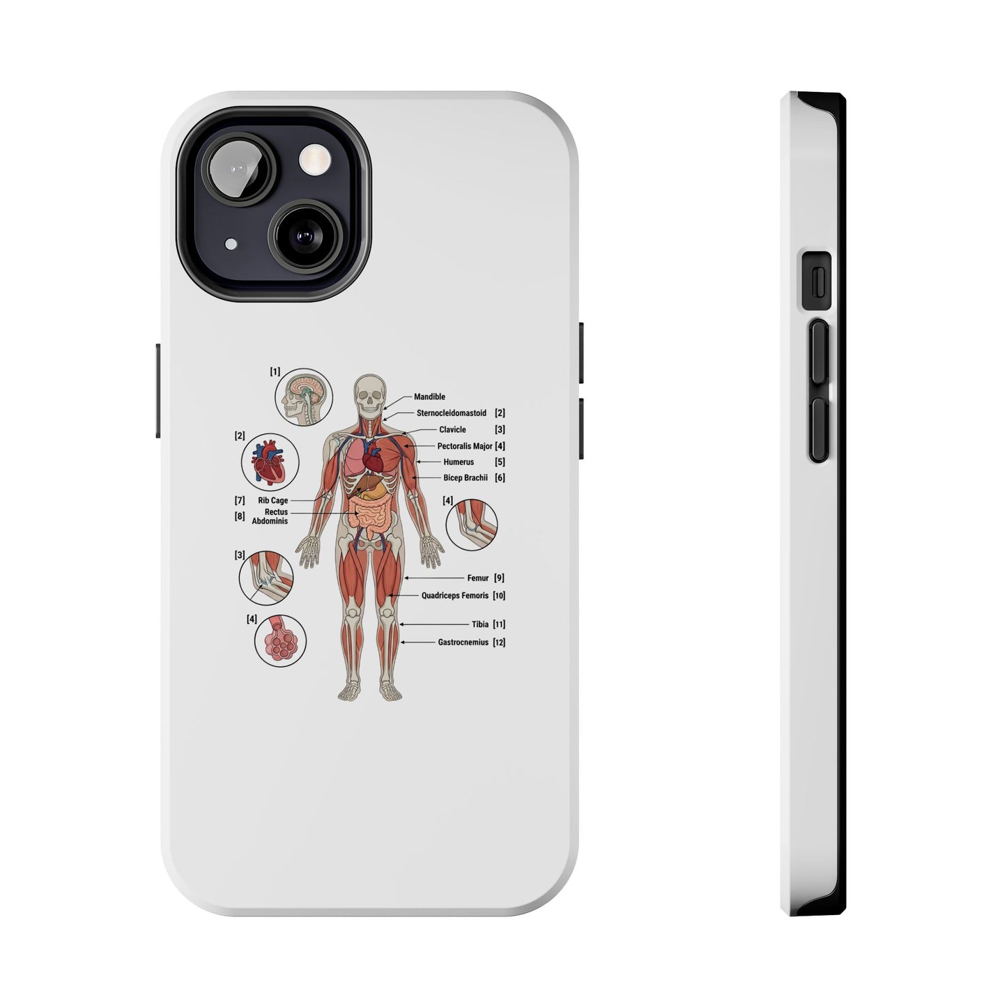 Anatomy Study Phone Case — Human Anatomy Diagram for Medical Students
