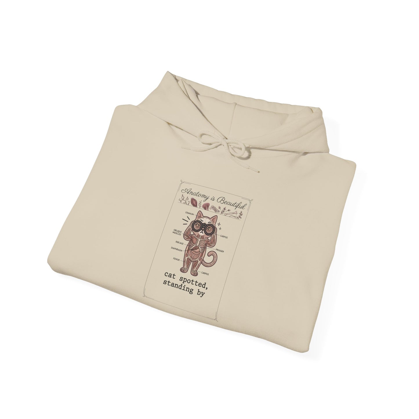 Whimsical Cat Mugshot Hoodie | Cat-Centric Novelty, Doodle Illustration