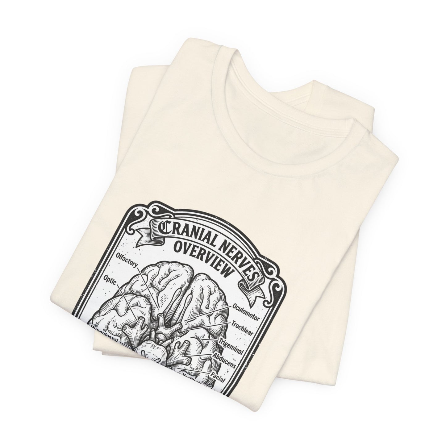 Cranial Nerves Illustration Tee | People Over Profit, Values-Led Apparel