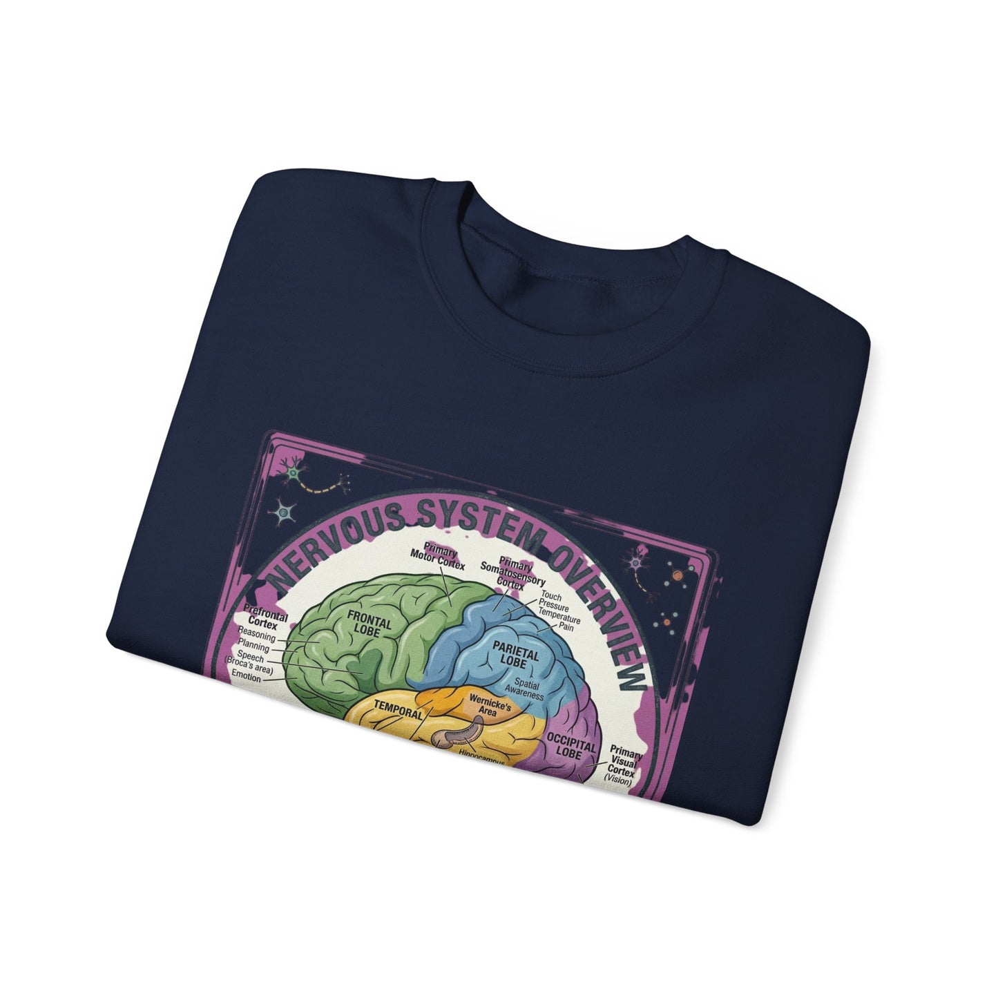 250th Anniversary Patriotic Brain Diagram Sweatshirt | 4th of July Centennial Trend