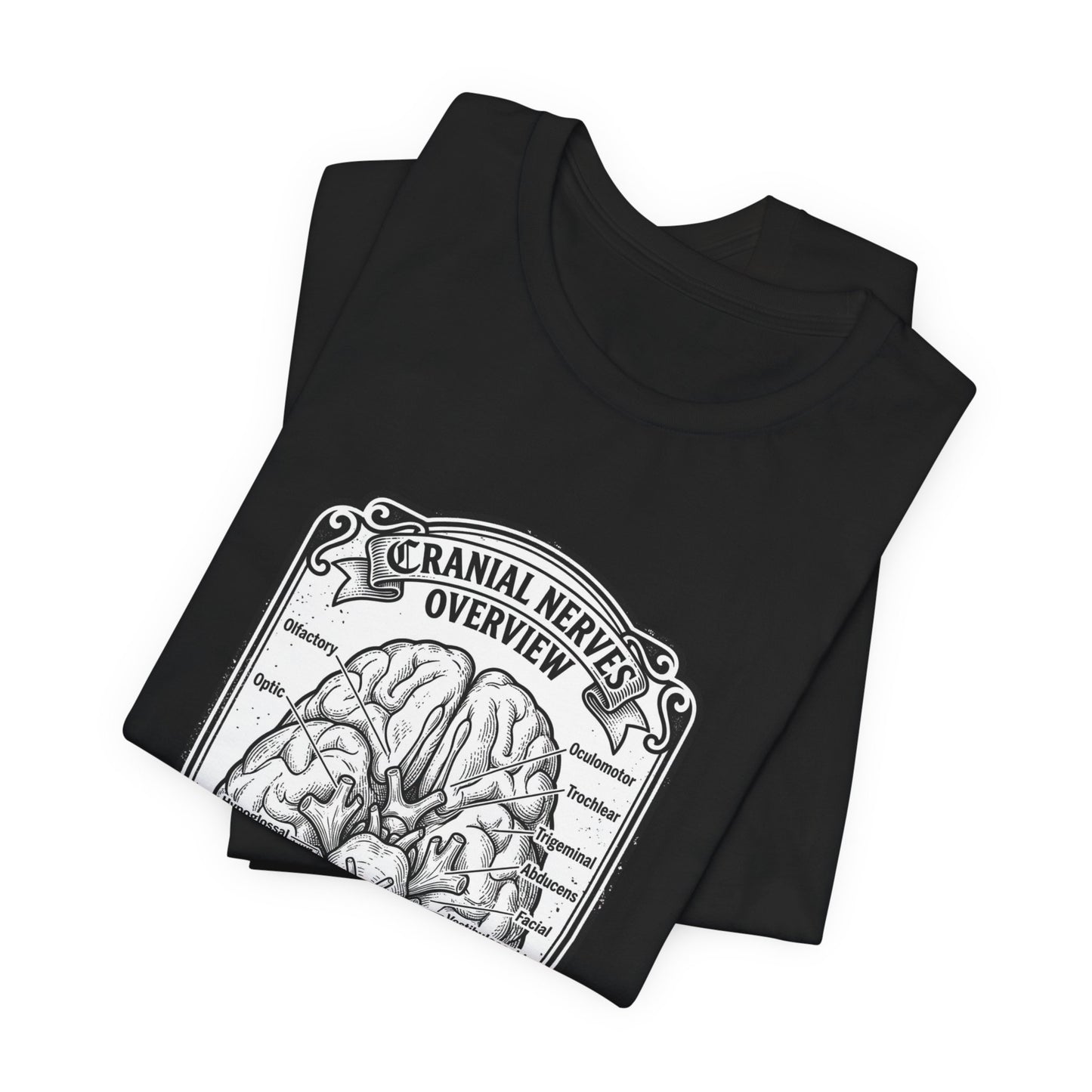 Cranial Nerves Illustration Tee | People Over Profit, Values-Led Apparel