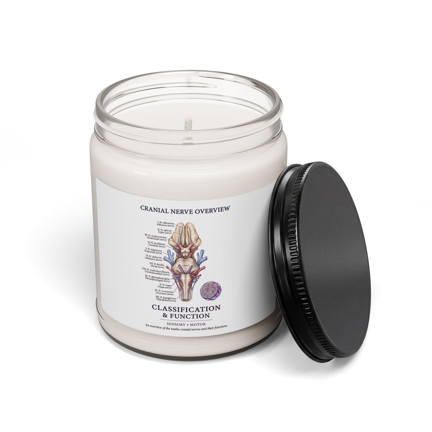 Birth Flower Soy Candle, Personalized Botanical Month Candle | Birth Month Floral