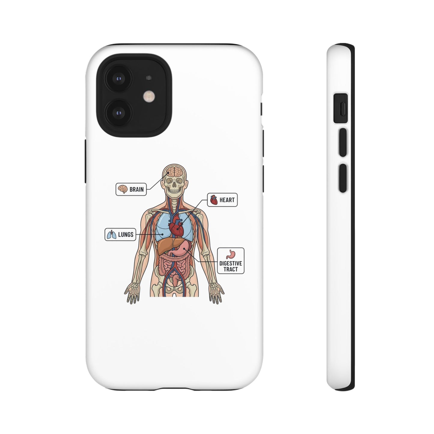 Anatomy Case — Medical Student Human Anatomy Study Aid