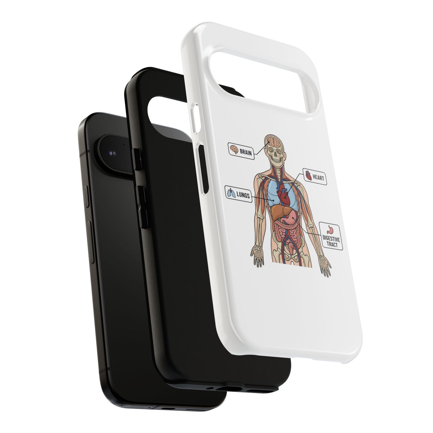 Anatomy Case — Medical Student Human Anatomy Study Aid