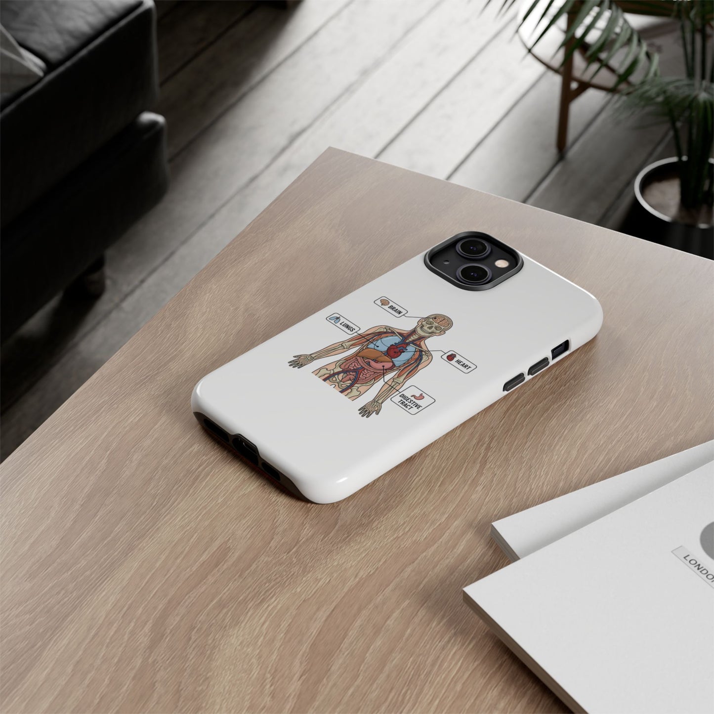 Anatomy Case — Medical Student Human Anatomy Study Aid