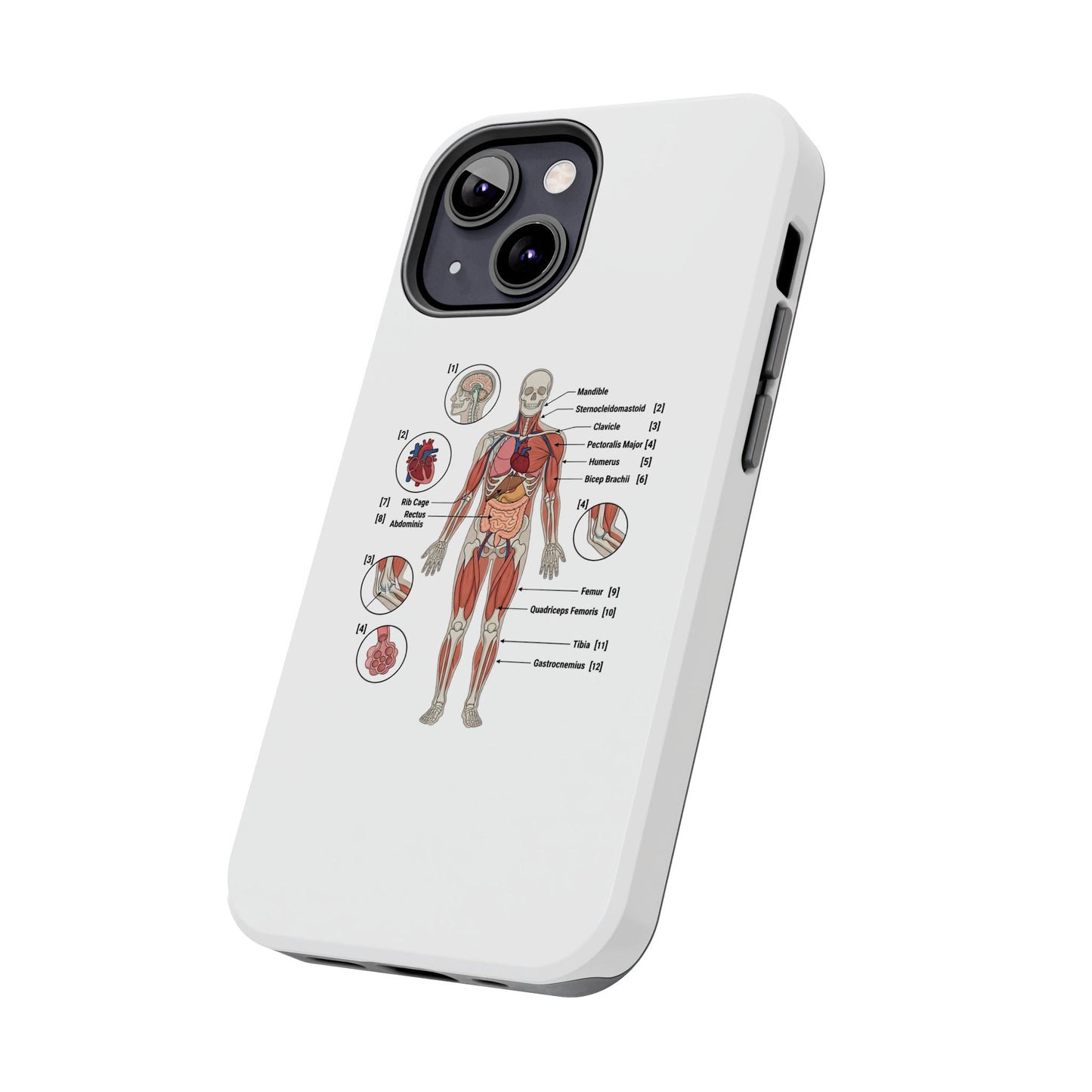 Anatomy Study Phone Case — Human Anatomy Diagram for Medical Students