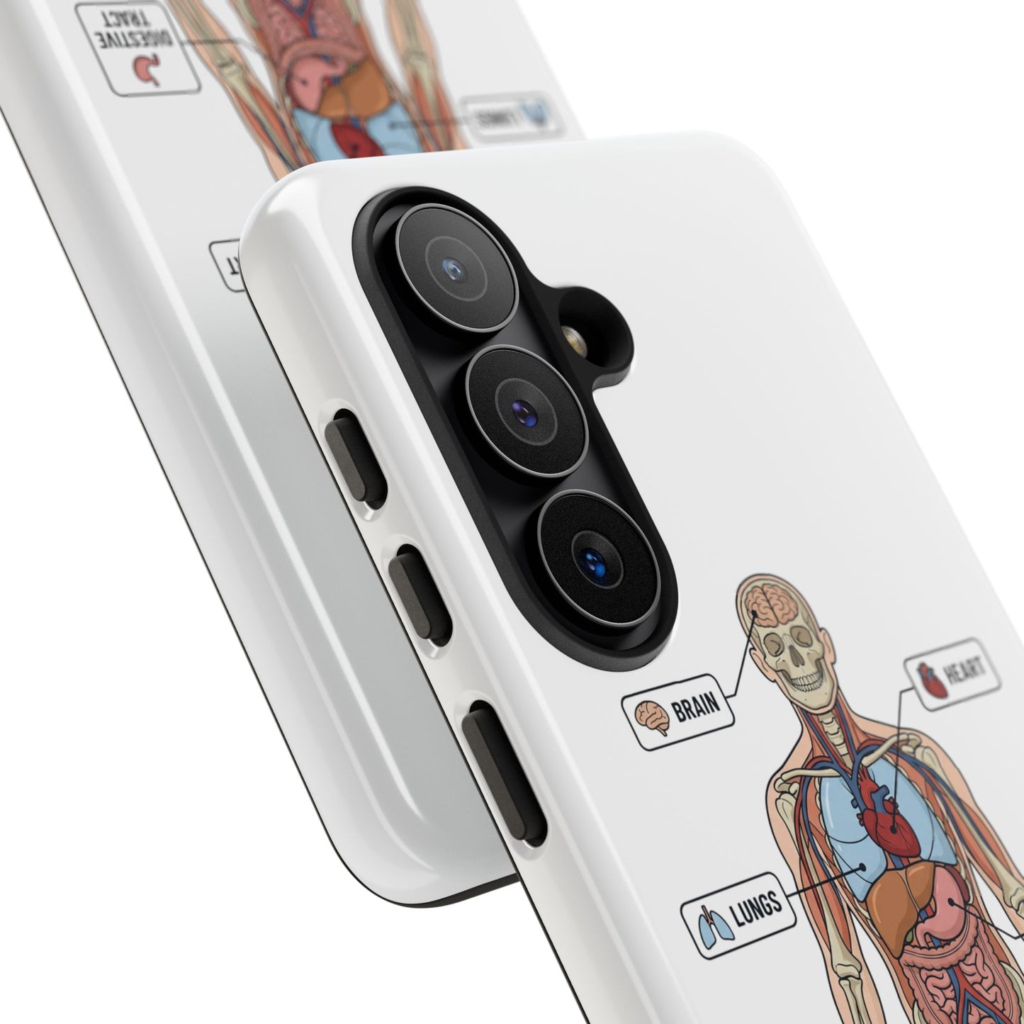 Anatomy Case — Medical Student Human Anatomy Study Aid