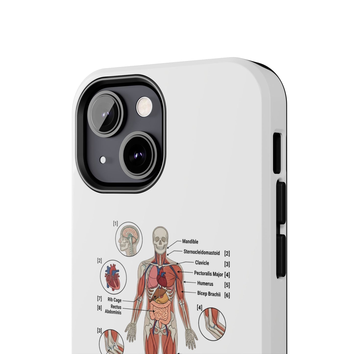 Anatomy Study Phone Case — Human Anatomy Diagram for Medical Students