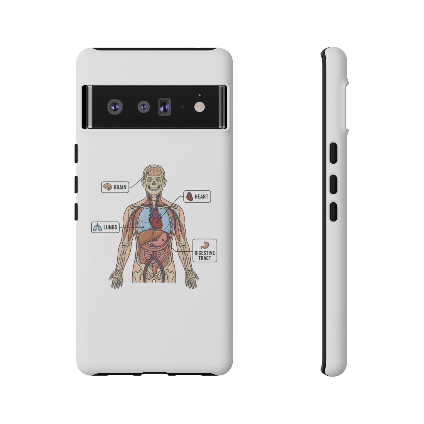 Anatomy Case — Medical Student Human Anatomy Study Aid