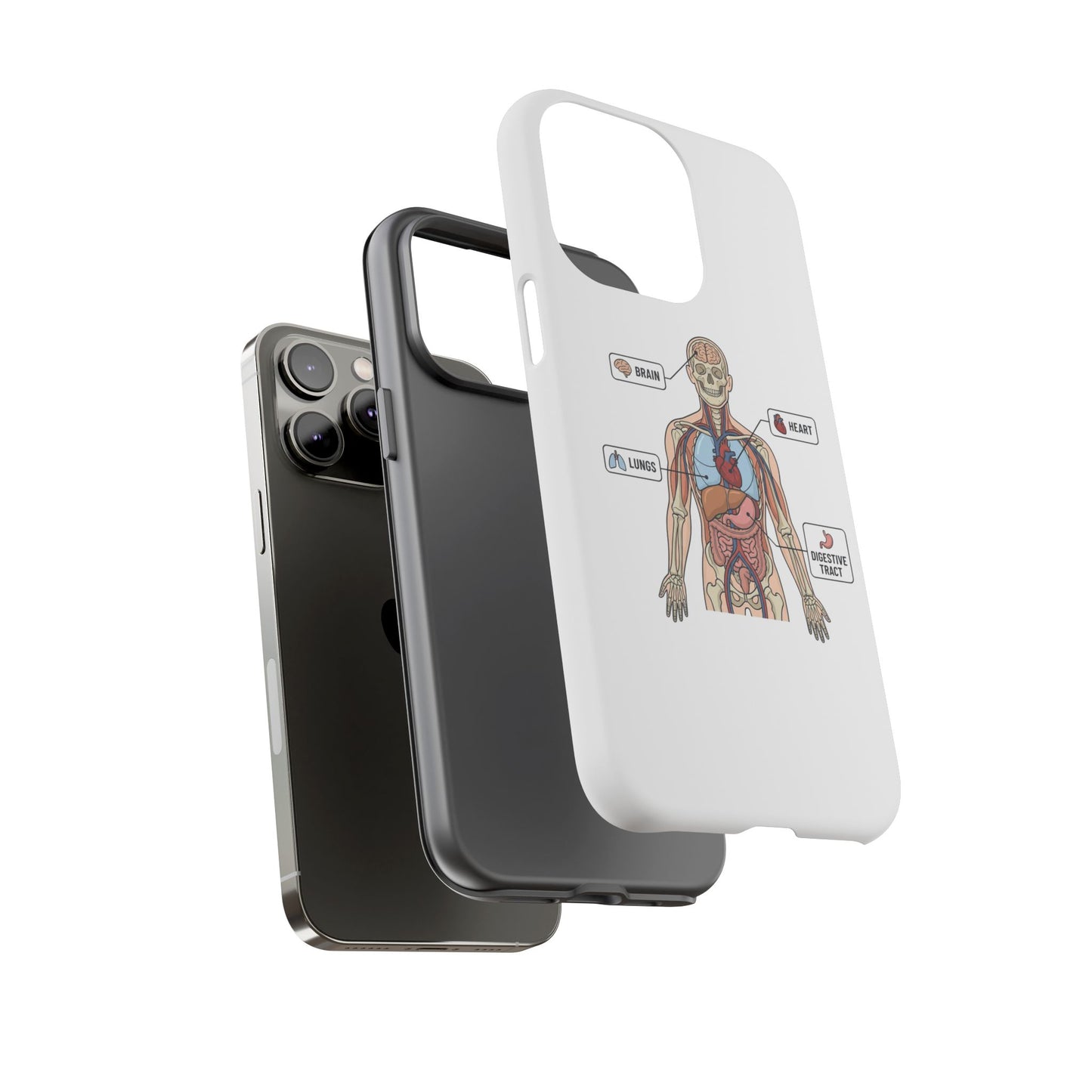 Anatomy Case — Medical Student Human Anatomy Study Aid