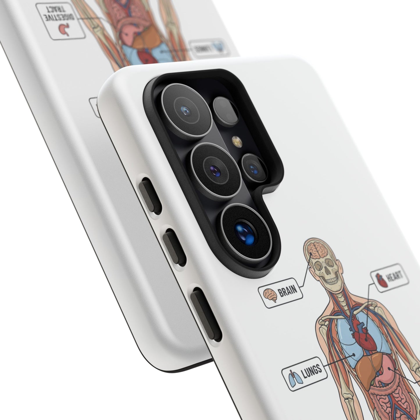 Anatomy Case — Medical Student Human Anatomy Study Aid