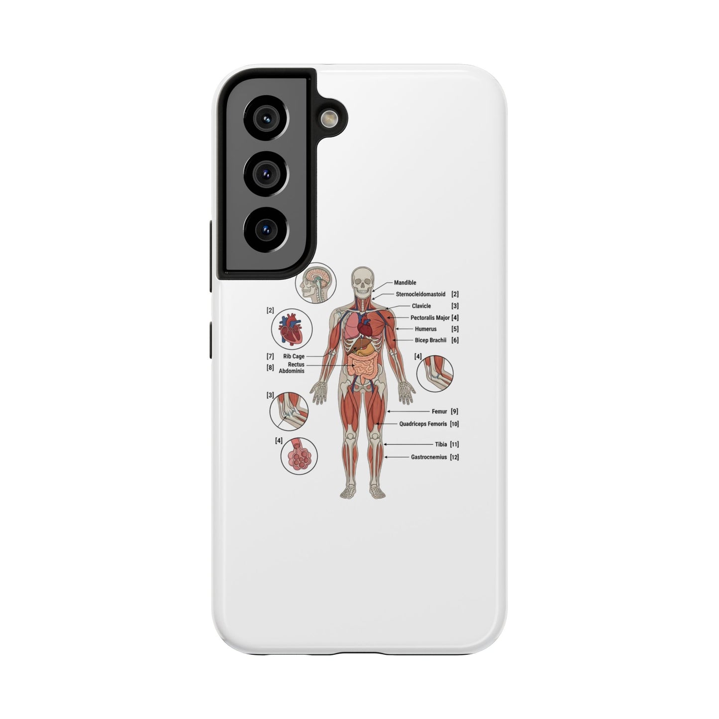 Anatomy Study Phone Case — Human Anatomy Diagram for Medical Students