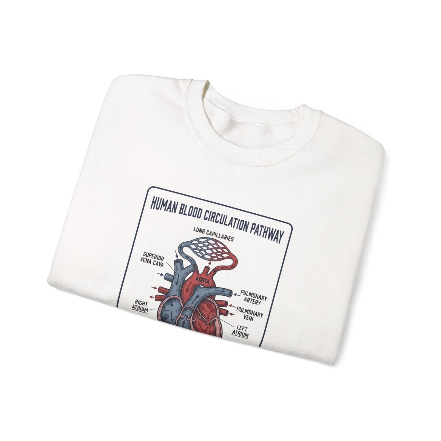 Anatomical Heart Diagram Sweatshirt | 250th 4th of July Patriotic Milestone