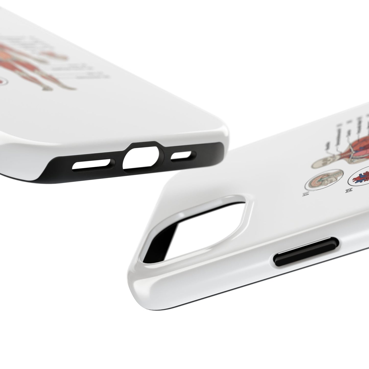 Anatomy Study Phone Case — Human Anatomy Diagram for Medical Students